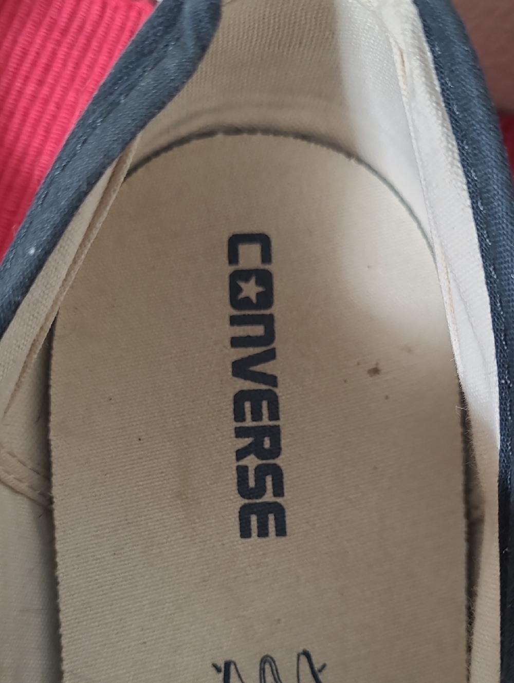 Converse Navy Low-Top Sneakers with White Trim - Picture 2 of 13